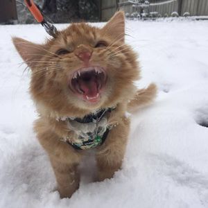 Meet your Posher, Anita